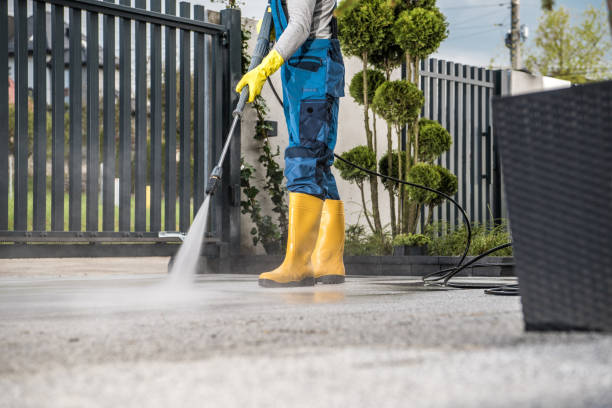 Best Sidewalk and Walkway Cleaning  in Skyline, AL